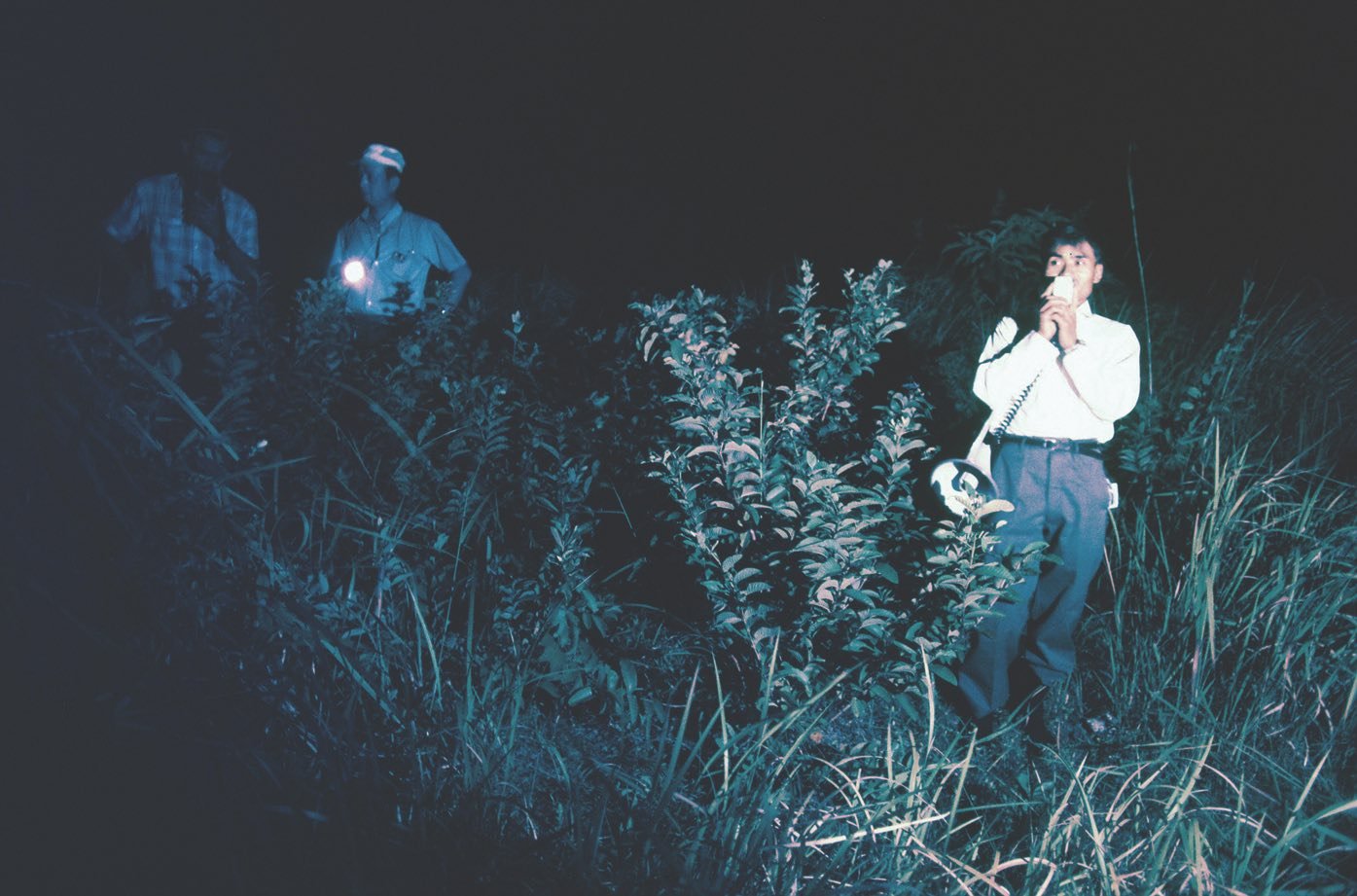 Bratr se snaží přesvědčit Onodu ke kapitulaci, 1972 Bratr se snaží přesvědčit Onodu ke kapitulaci, 1972