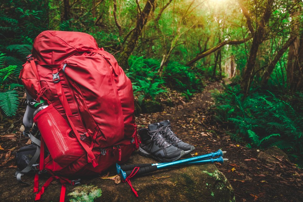 Červený trekingový batoh s trekingovými botami a holemi v lese